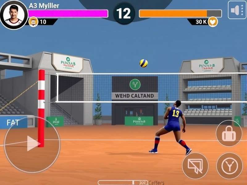 Punjab Volley Vanguard gameplay screenshot
